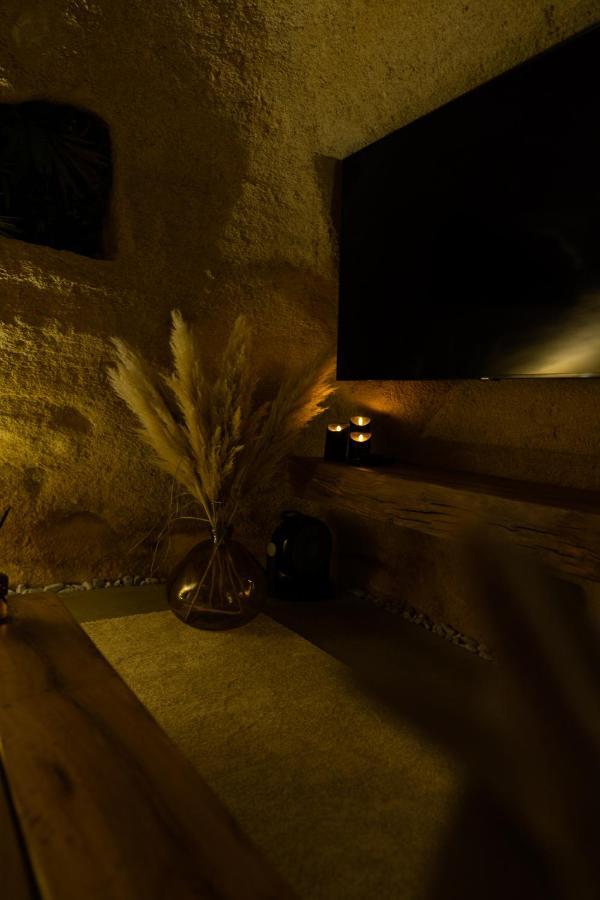 Apartment La Falaise Perdue : Troglodyte Grandiose *