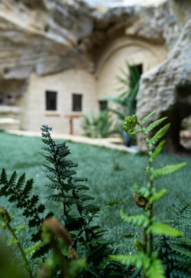 La Falaise Perdue : Troglodyte Grandiose Apartment *