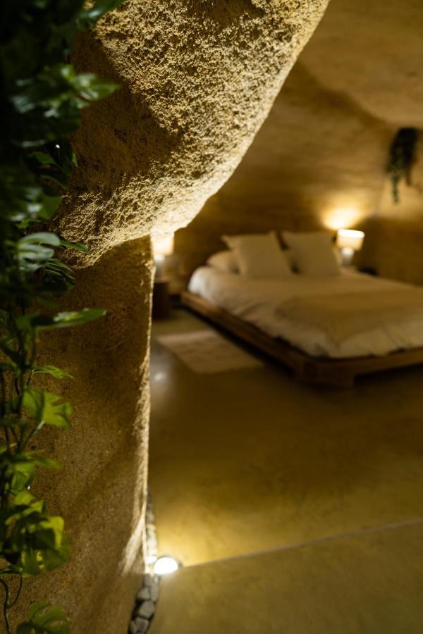 Apartment La Falaise Perdue : Troglodyte Grandiose *